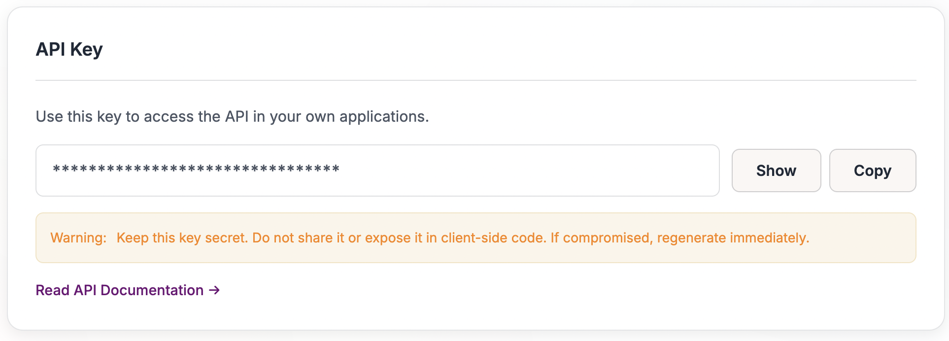 API key section in Settings page